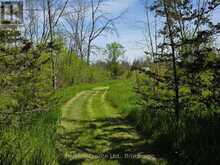 ACROSS FROM 3904 CTY RD 49 | Prince Edward Ontario | Slide Image Sixteen