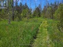 ACROSS FROM 3904 CTY RD 49 | Prince Edward Ontario | Slide Image Seventeen