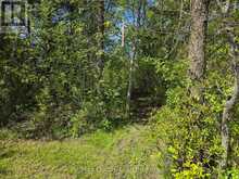 ACROSS FROM 3904 CTY RD 49 | Prince Edward Ontario | Slide Image Six