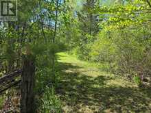 ACROSS FROM 3904 CTY RD 49 | Prince Edward Ontario | Slide Image Five