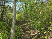 ACROSS FROM 3904 CTY RD 49 | Prince Edward Ontario | Slide Image Seven