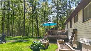32 TEDS LANE | Bobcaygeon Ontario | Slide Image Forty-two