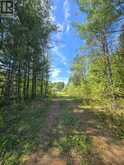 127 LLOYD STREET E | Addington Highlands Ontario | Slide Image Three