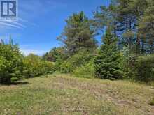 127 LLOYD STREET E | Addington Highlands Ontario | Slide Image Eight