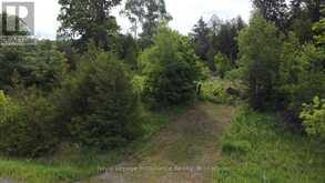 5966 HWY 506 ROAD | North Frontenac Ontario | Slide Image Three