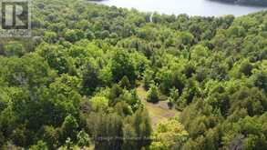 5966 HWY 506 ROAD | North Frontenac Ontario | Slide Image Four