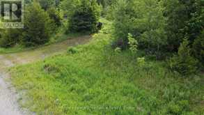 5966 HWY 506 ROAD | North Frontenac Ontario | Slide Image Five