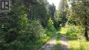 5966 HWY 506 ROAD | North Frontenac Ontario | Slide Image Nine
