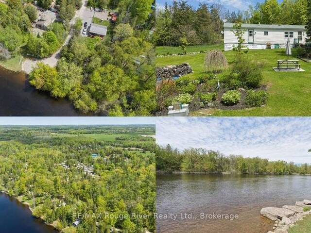 189 PINE LANE Marmora Ontario, K0K 2M0 - 1 Bedroom Waterfront Home For sale