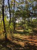 2509 12TH LINE | North Kawartha Ontario | Slide Image Forty-five