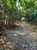 2509 12TH LINE | North Kawartha Ontario | Slide Image Forty-six