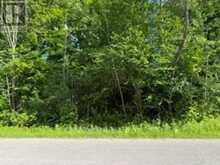 A PIPELINE ROAD | Cramahe Ontario | Slide Image Three