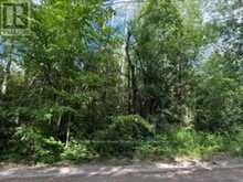 B1 PIPELINE ROAD | Cramahe Ontario | Slide Image Three