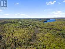 PT LT 26 CON 17 CARDIFF HWY #648 (LOOP) ROAD | Highlands East Ontario | Slide Image Ten