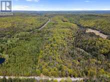PT LT 26 CON 17 CARDIFF HWY #648 (LOOP) ROAD | Highlands East Ontario | Slide Image Twelve