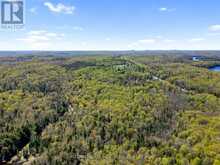 PT LT 26 CON 17 CARDIFF HWY #648 (LOOP) ROAD | Highlands East Ontario | Slide Image Nine