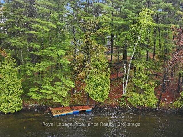 1419 TURTLE LAKE LANE North Frontenac Ontario, K0H 2M0 - Waterfront Land For Sale