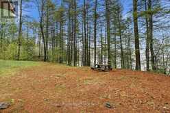 1419 TURTLE LAKE LANE | North Frontenac Ontario | Slide Image Seventeen