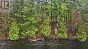1419 TURTLE LAKE LANE | North Frontenac Ontario | Slide Image One
