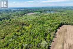 4148 HIGHWAY #2 | Clarington Ontario | Slide Image Five