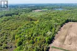 4148 HIGHWAY #2 | Clarington Ontario | Slide Image Nine