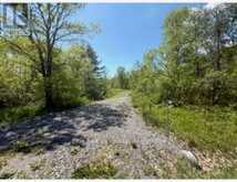 6409 STIRLING MARMORA ROAD | Marmora Ontario | Slide Image Two