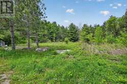 354B MARBLE POINT ROAD | Marmora Ontario | Slide Image Thirteen