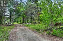 354B MARBLE POINT ROAD | Marmora Ontario | Slide Image Five