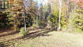 1033 WATERWORTH LANE | North Frontenac Ontario | Slide Image Twenty-one
