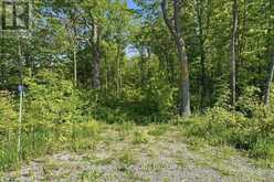 75 SPRY ROAD | Stirling-Rawdon Ontario | Slide Image Three