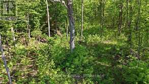75 SPRY ROAD | Stirling-Rawdon Ontario | Slide Image Six