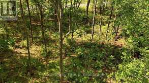75 SPRY ROAD | Stirling-Rawdon Ontario | Slide Image Nine