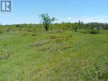 1178 COUNTY RD 121 ROAD | Fenelon Falls Ontario | Slide Image One