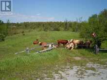 1178 COUNTY RD 121 ROAD | Fenelon Falls Ontario | Slide Image Twelve