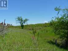 1178 COUNTY RD 121 ROAD | Fenelon Falls Ontario | Slide Image Two