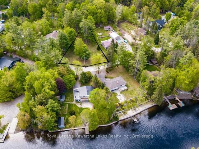 0 GOVERNMENT DOCK ROAD Coboconk Ontario, K0M 2L0 - Vacant Land For Sale