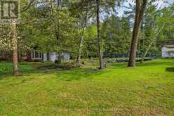 3786 HWY 28 HIGHWAY | North Kawartha Ontario | Slide Image Thirty-nine
