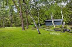 3786 HWY 28 HIGHWAY | North Kawartha Ontario | Slide Image Forty-one