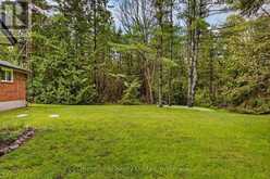 3786 HWY 28 HIGHWAY | North Kawartha Ontario | Slide Image Forty-two