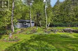 3786 HWY 28 HIGHWAY | North Kawartha Ontario | Slide Image Forty-three