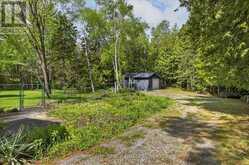 3786 HWY 28 HIGHWAY | North Kawartha Ontario | Slide Image Forty-five