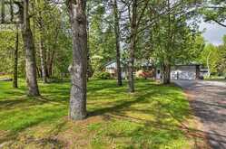 3786 HWY 28 HIGHWAY | North Kawartha Ontario | Slide Image Forty-nine