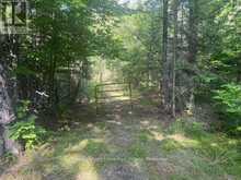905 & 841 NORTH MCKENZIE LAKE ROAD | South Algonquin Ontario | Slide Image One