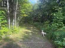 905 & 841 NORTH MCKENZIE LAKE ROAD | South Algonquin Ontario | Slide Image Two