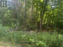 905 & 841 NORTH MCKENZIE LAKE ROAD | South Algonquin Ontario | Slide Image Three