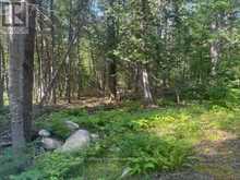 905 & 841 NORTH MCKENZIE LAKE ROAD | South Algonquin Ontario | Slide Image Five
