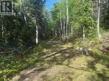 905 & 841 NORTH MCKENZIE LAKE ROAD | South Algonquin Ontario | Slide Image Six