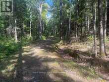 905 & 841 NORTH MCKENZIE LAKE ROAD | South Algonquin Ontario | Slide Image Seven
