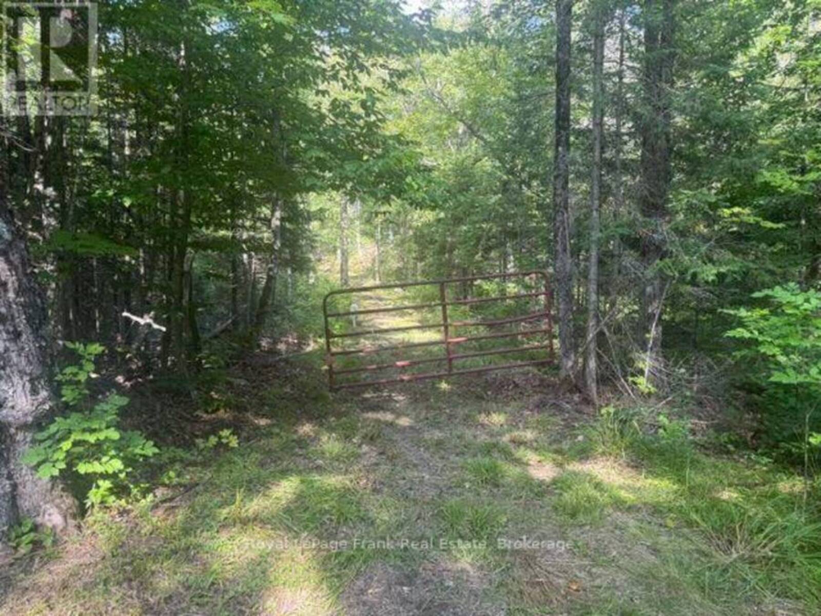 905 & 841 NORTH MCKENZIE LAKE ROAD, South Algonquin, Ontario K0J 2M0