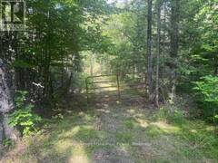 905 & 841 NORTH MCKENZIE LAKE ROAD South Algonquin Ontario, K0J 2M0